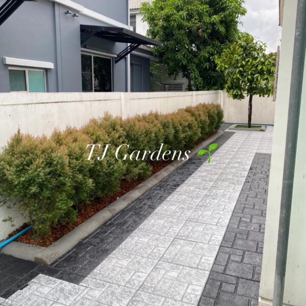 Customer 12 03